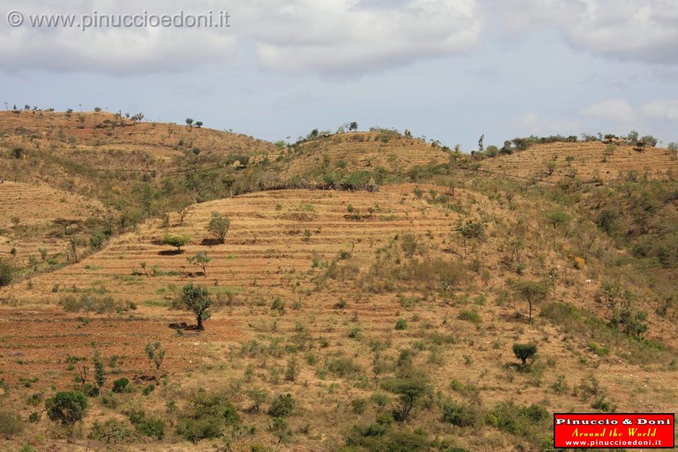 Ethiopia - 872.jpg